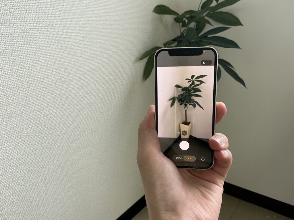 リアカメラのピントが合わず、バッテリーも劣化してしまったiPhone 12